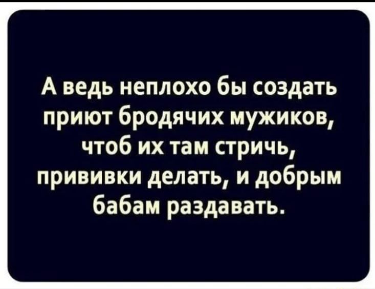 А ведь неплохо бы создать приют бродячих мужиков чтоб их там стричь прививки делать и добрым бабам раздавать