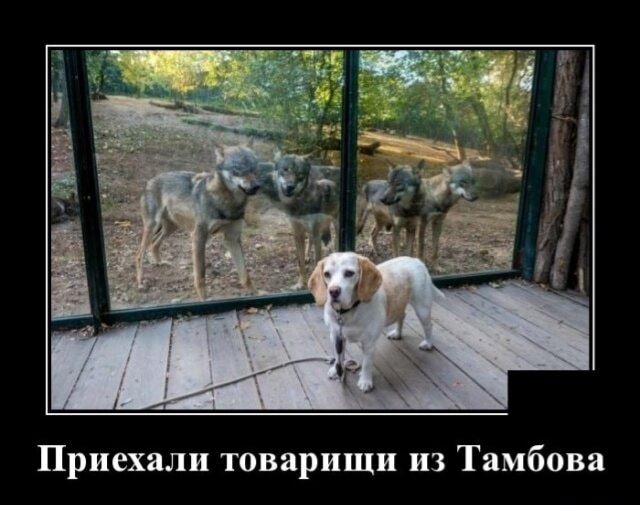Приехшш товарищи из Тамбова