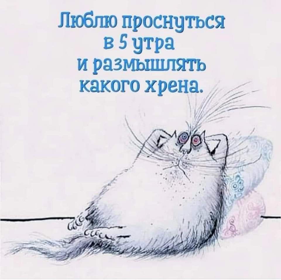 Любгш проснуться в 5 утра и размышлять какого хрена _ 11