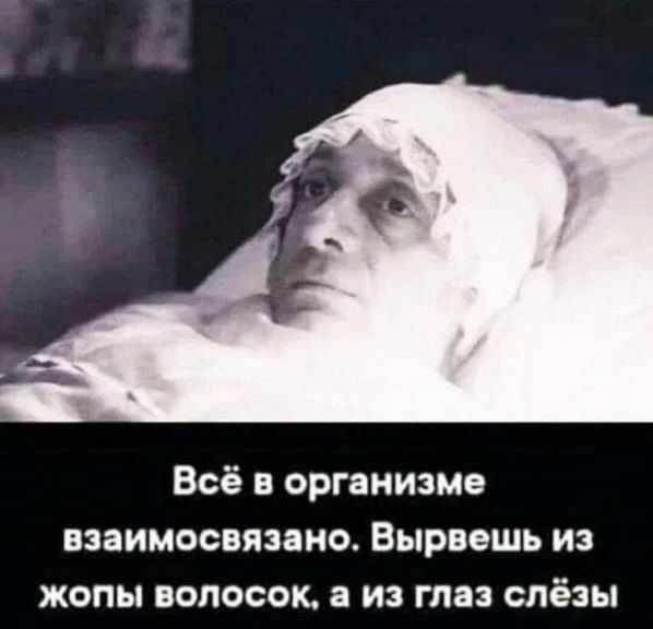 Всё в организме взаимосвязано Вырвешь из жопы волосок из тя слёзы