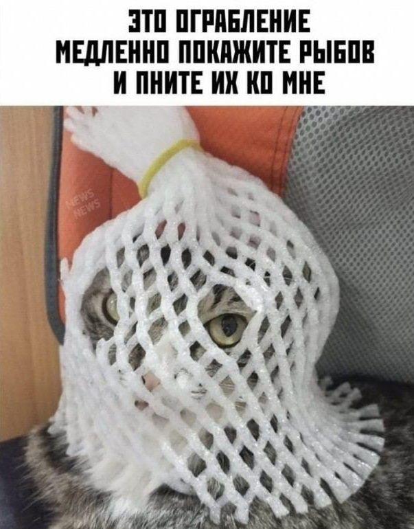 ЗТП ПГРПЕЛЕНИЕ ИЩЕННП ППШШИТЕ РЫБПВ И ПНИТЕ ИИ МНЕ