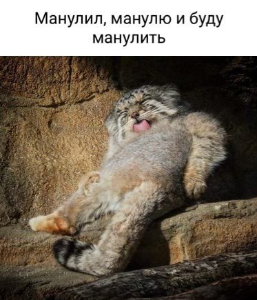 Манупип манупю и буду манулить