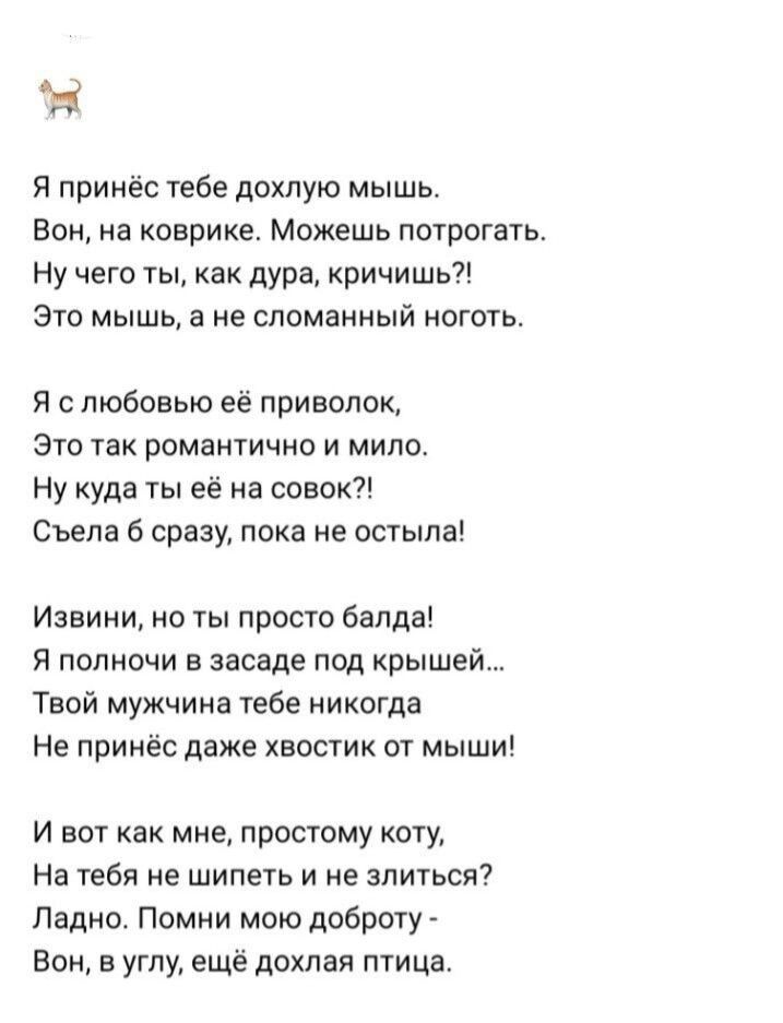 в Я принёс тебе дохлую мышь Вон на коврике Можешь потрогачь Ну чего ты как дура кричишь Это мышь 5 не сломанный ногожь Я с любовью приеолок это так романтично и мило Ну куда ее на совок Сьела сразу пока не ость па Извини но ты просто банда Я полночи в засаде под крышей Твой мужчина тебе никогда Не принёс даже хвостик от мыши И вот как мне простому оту На тебя не шипеть и не злиться Ладно Помни мою