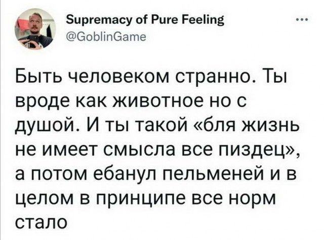 А 5цріетасу ог Риге гееппд Ооыіпбате Быть человеком странно Ты вроде как животное но с душой И ты такой бля жизнь не имеет смысла все пиздец а потом ебануп пельменей и в целом в принципе все норм стало