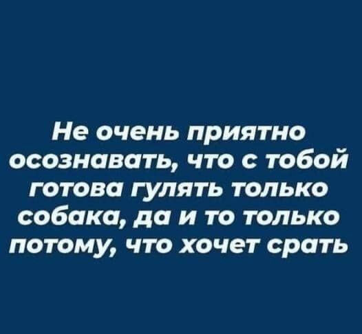 Не очень приятно осознавать что с тобой готова гулять только собака до и то только потому что хочет срать