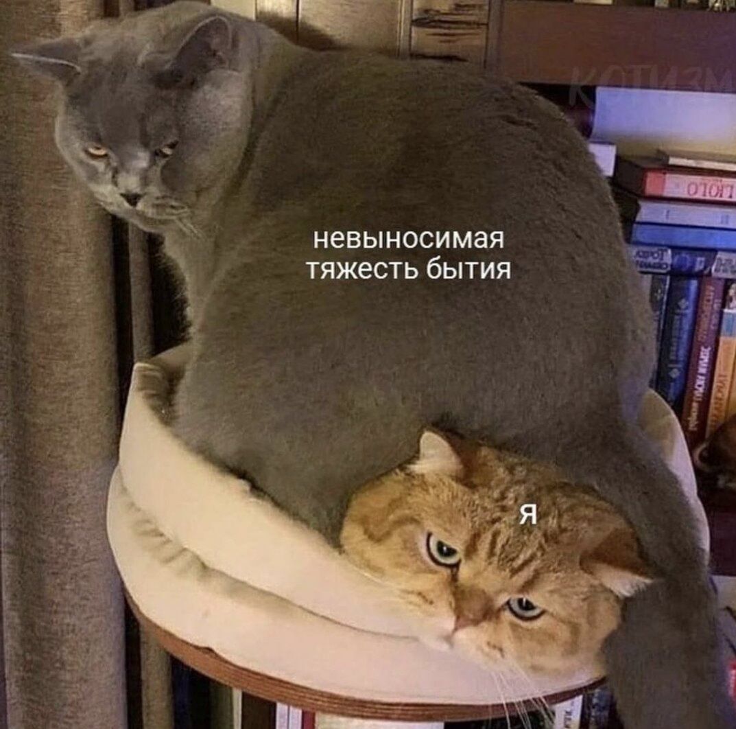 невыносимая тяжесть бытия