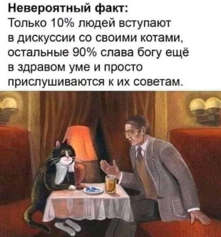 Невероятный факт Только 10 людей вступают в дискуссии со своими котами остальные 90 слава богу ещё в здравом уме и просто прислушиваются к их советам