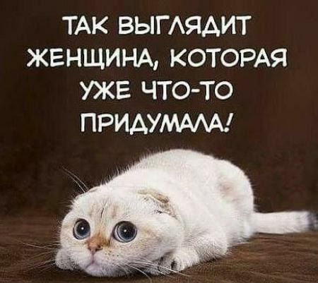 ТАК ВЫГАЯАИТ ЖЕНЩИНА КОТОРАЯ УЖЕ ЧТО ТО ПРИАУМААА