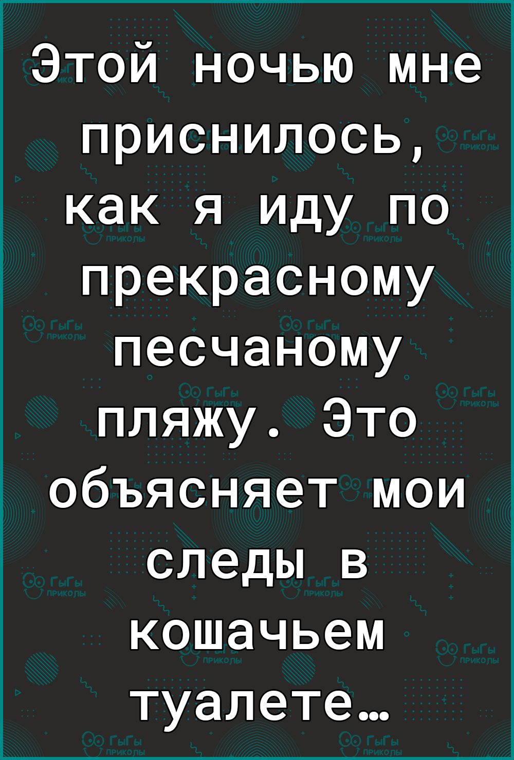 Этой ночью мне приснилось как я иду по прекрасному песчаному пляжу Это объясняет мои следы в кошачьем туалете