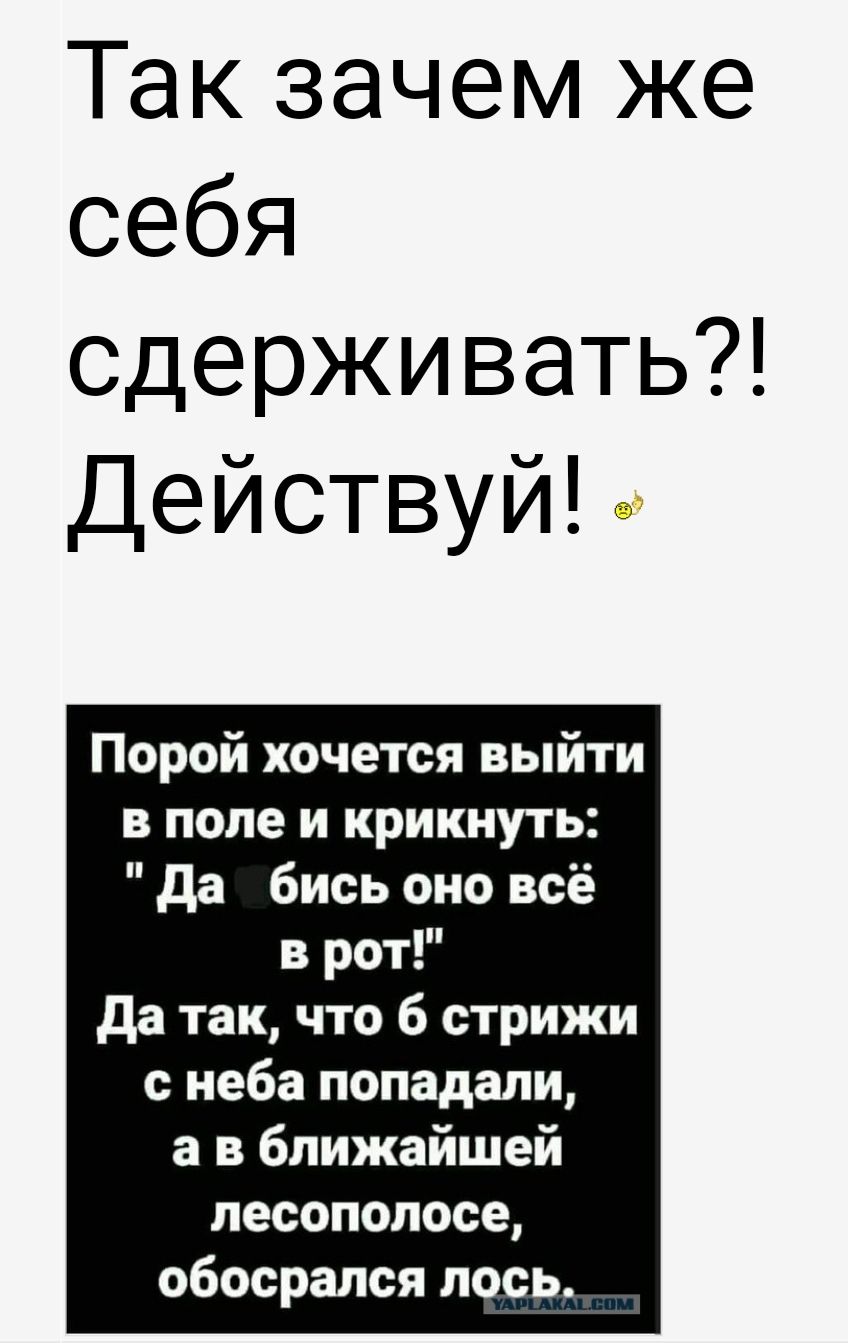 Так зачем же себя сдерживать Действуй Порой хочется выйти в поле и крикнуть да бись оно всё в рот да так что 6 стрижи неба попадали а в ближайшей песопопосе обосрался лось