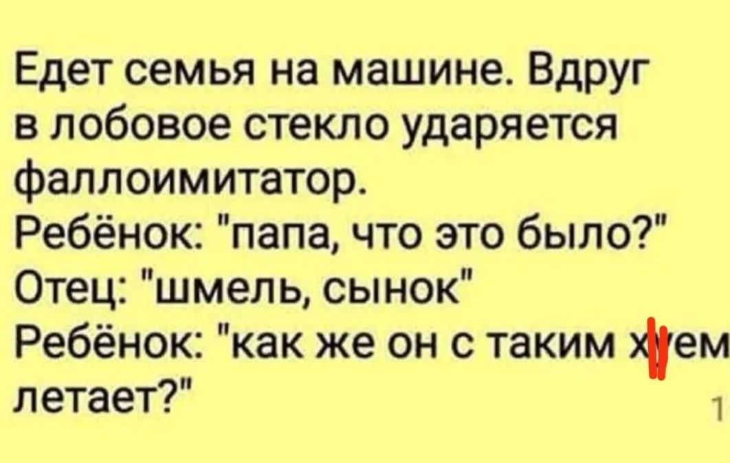 Едет семья на машине Вдруг в лобовое стекло ударяется фаллоимитатор Ребёнок папа что это было Отец шмель сынок Ребёнок как же он с таким ем летает 1