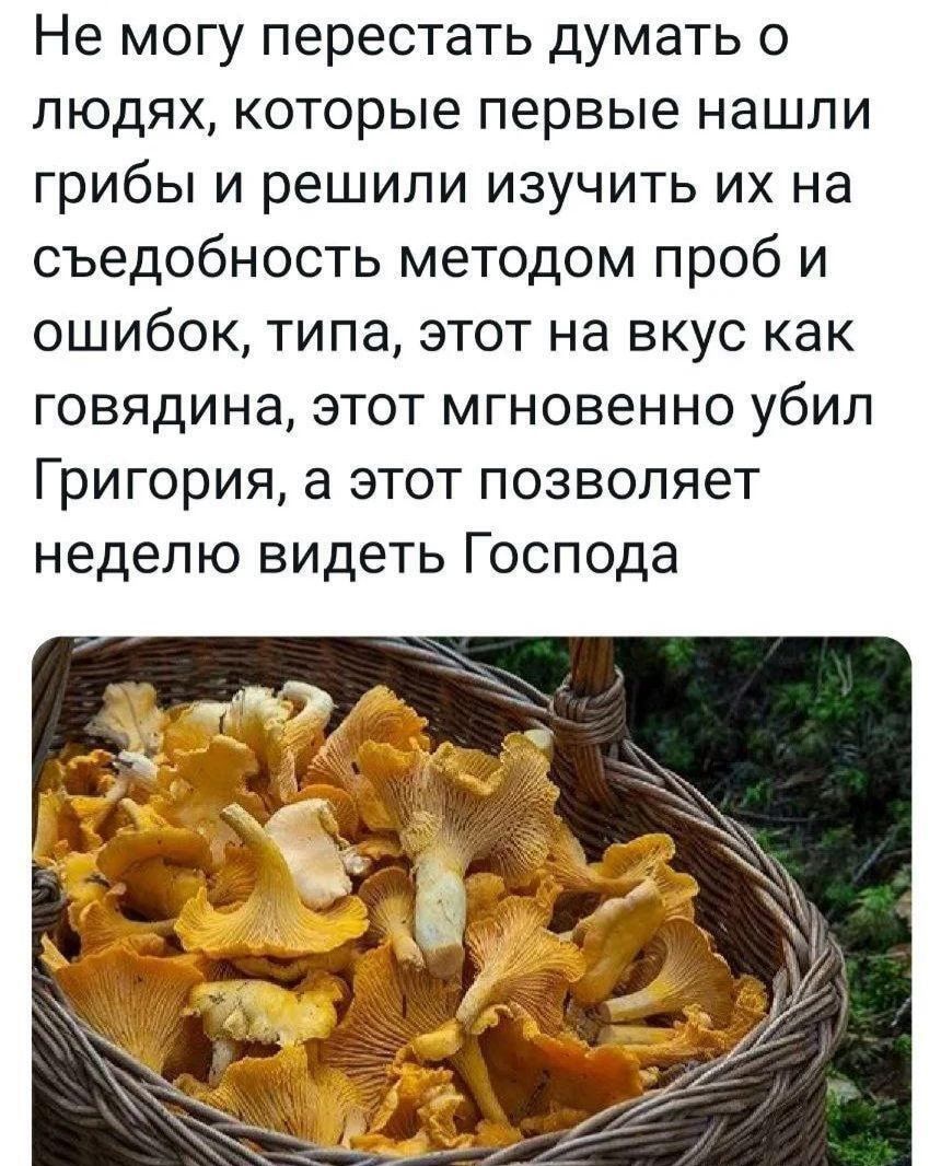 Не могу перестать думать о людях которые первые нашли грибы и решили изучить их на съедобность методом проб и ошибок типа этот на вкус как говядина этот мгновенно убил Григория а этот позволяет неделю видеть Господа