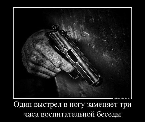 Один выстрел в ногу заменяет три часа воспитательной беседы