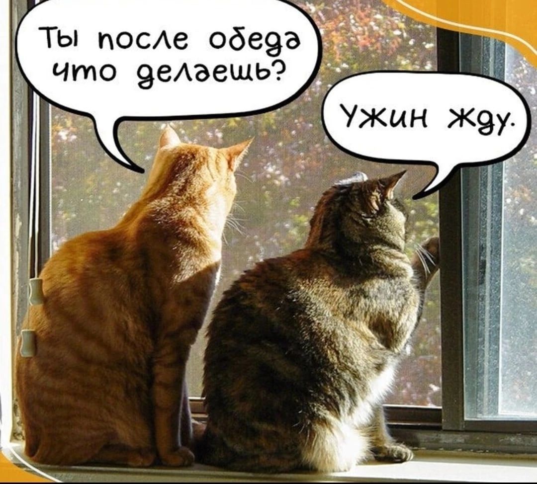 ТЫ посАе 06693 что 9еАзещь