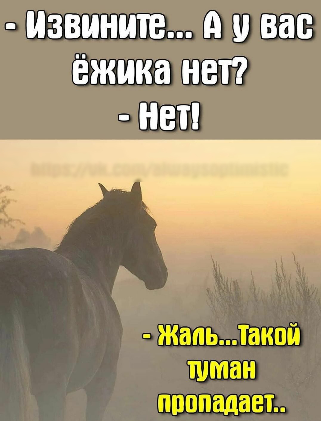Извините А о вас ёжика нет нет ШБЛПШПУШШЩЮЩЗШШЗШ _ _