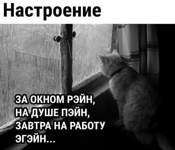 Настроение НА дУШЕ ПЗЙН ЗАВТРА НА РАБОТУ ЭГЭЙН