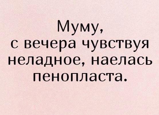 Муму с вечера чувствуя неладное наелась пенопласта