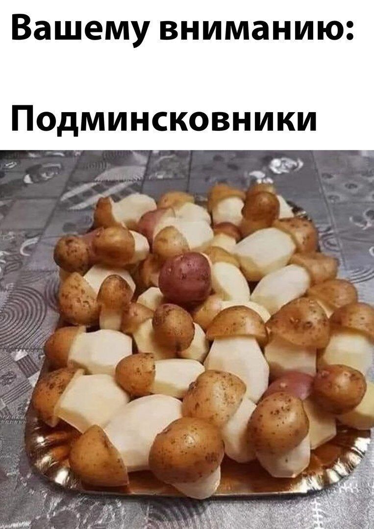 вашему вниманию Подминсковники Т