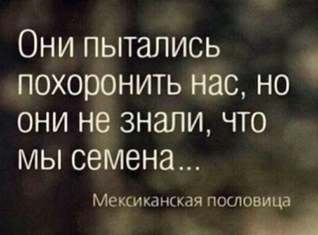 Они пытались похоронить нас но они не знали что мы семена Мексиканккая пословица