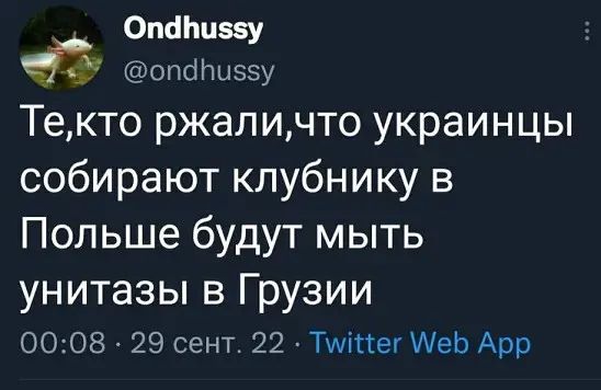 Опа плаву опсіныззу Текто ржаличто украинцы собирают клубнику в Польше будут мыть унитазы В ГРУЗИИ 0008 29 сент 22 Тміттег АеЬ Арр