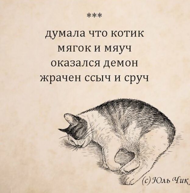 думала что котик мягок и мяуч оказался демон жрачен ссыч и сруч ЁдсЛОль и