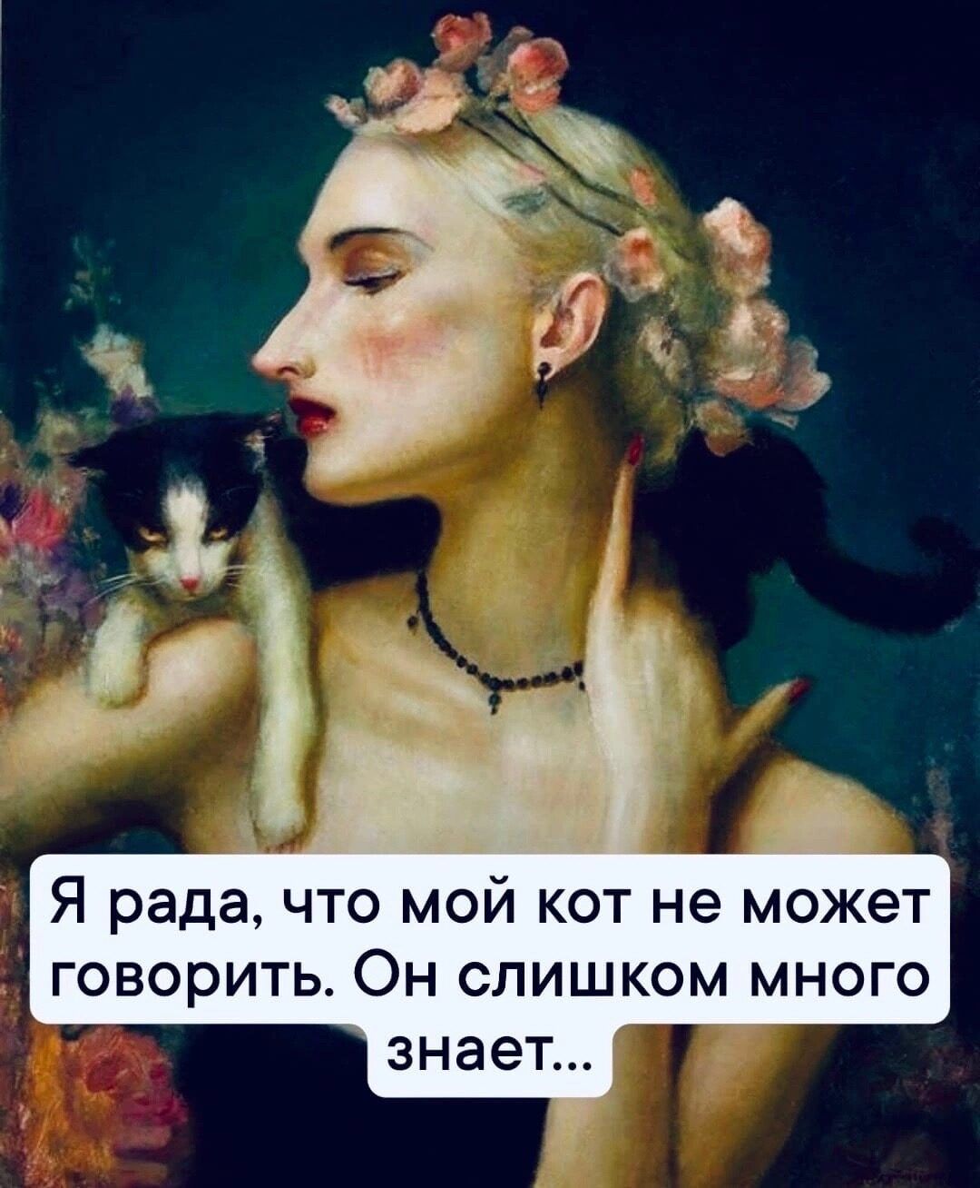 Я рада что мой кот не может говорить Он слишком много