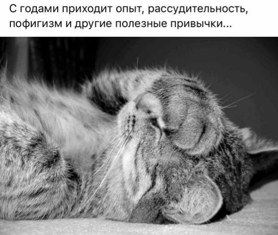 с годами приходит опыт рассудительность пофигизм и другие полезные привычки