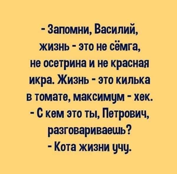 Запомни Василий жизнь это не сёмга не осетрина и не красная икра Жизнь это кипька в томате максимум хак с кем это ты Петрович разговариваешь Кота жизни ччц