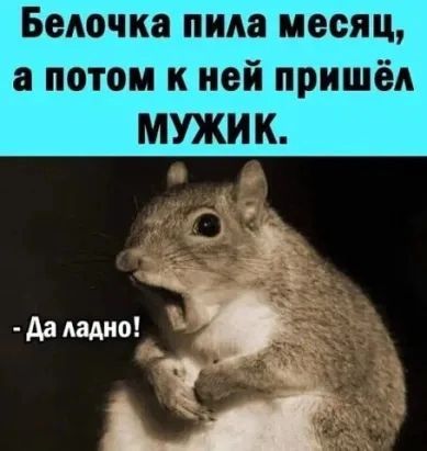 Белочка пила месяц а потом к ней пришёл МУЖИК