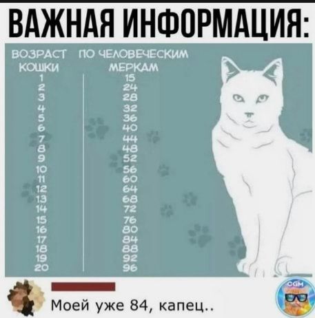 ВАЖНАЯ ИНФОРМАЦИЯ возмо по чЕАовЕчЕскмм кошки мЕРкм 5 яч га 32