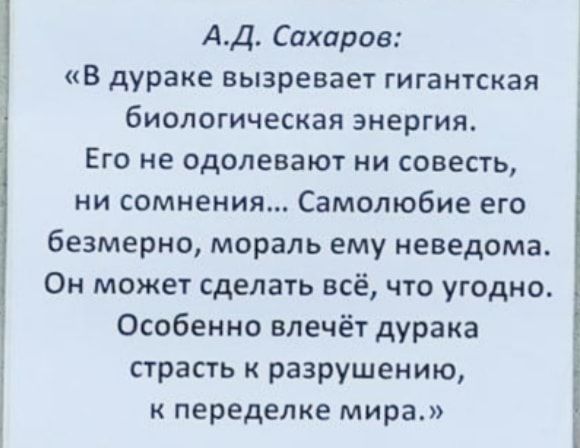 АД Сахаров в дураке вызревает гигантская биологическая энергия Его не одолевают ни совесть ни сомнения Самолюбие его безмерно мораль ему неведома Он может сделать всё что угодно Особенно влечёт дурака страсть к разрушению к переделке мира