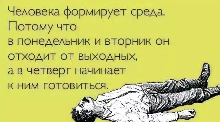 Чедовека формирует среда Потому что в ПОНеАЕАЬНИК и вторник он отходит от выходных в в четверг начинает к ним готовиться
