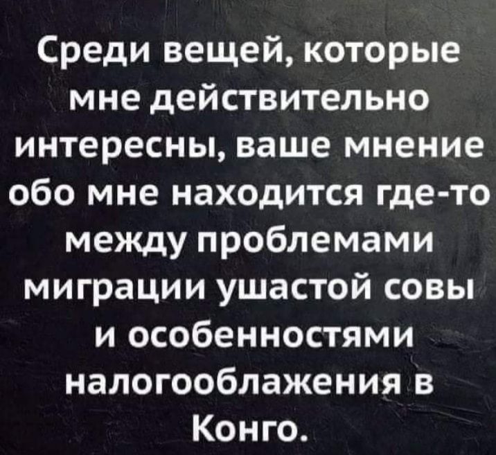 Среди вещей которые мне действительно интересны ваше мнение обо мне находится где то между проблемами миграции ушастой совы и особенностями налогооблажения в Конго