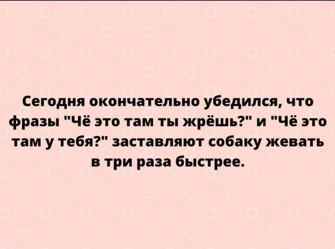 Сегодня окончательно убедился что фразы чё это там ты жрёшь и чё это там у тебя заставляют обаку жевать в три раза быстрее