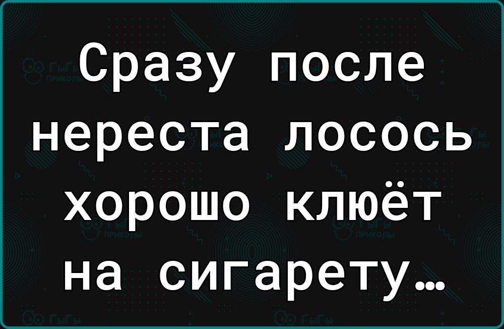 Сразу после нереста лосось хорошо клюёт на сигарету