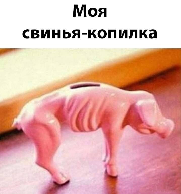 Моя свинья копилка