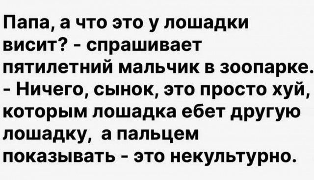 Папа а что это у лошадки висит спрашивает пятилетний мальчик в зоопарке Ничего сынок это просто хуй которым лошадка ебет другую лошадку а пальцем показывать это некультурно