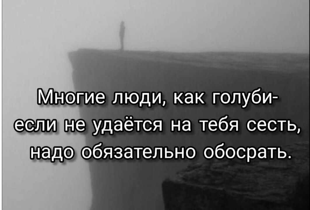 Многие люди как голуби не удаётся на тебя сесть обязательно обосрать