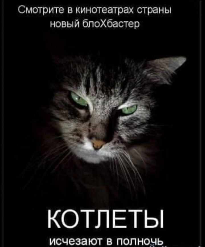 Смотрите в кинотеатрах страны новый блохбастер КОТЛЕТЫ исчезают в попноыь _