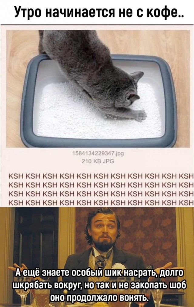 Утро начинается не с кофе Бн квн квн кэн квн КЗП Кзн квн квн БН КЗН КЗН КЗН КЗН КЗН КЗН КЗН КЗН КЗН КЗН КЗН КЗН зн кзн кэн кзн 5н кэн КЗН кэн кэн 5н кзн квн КЗН кзн кБн кзн кБН кзн ЗН кзн ЗН кзн Ае ещё знаете вспбыиішйиіасратьйю шк 6а1ь вокруг не так и и закопать шоб Ёоно продопжалп в я1ь 3