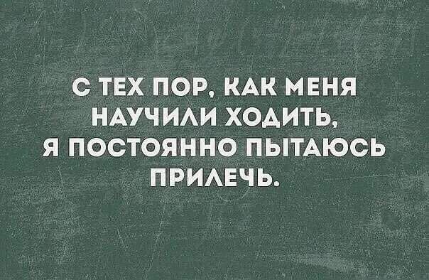 С ТЕХ ПОР КАК МЕНЯ НАУЧ ИАИ ХОАИТЬ Я ПОСТОЯННО ПЫТАЮСЬ ПРИАЕЧЬ