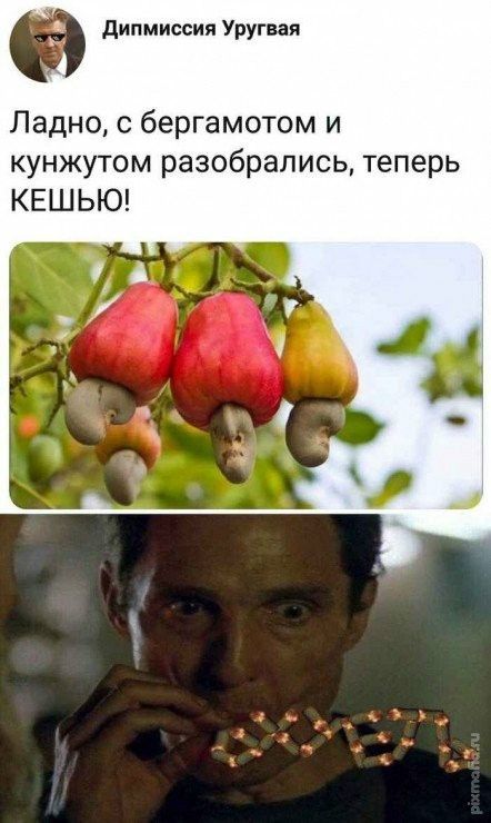 дипмиссия Уругвая Ладно с бергамотом и кунжутом разобрались теперь КЕШЬЮ