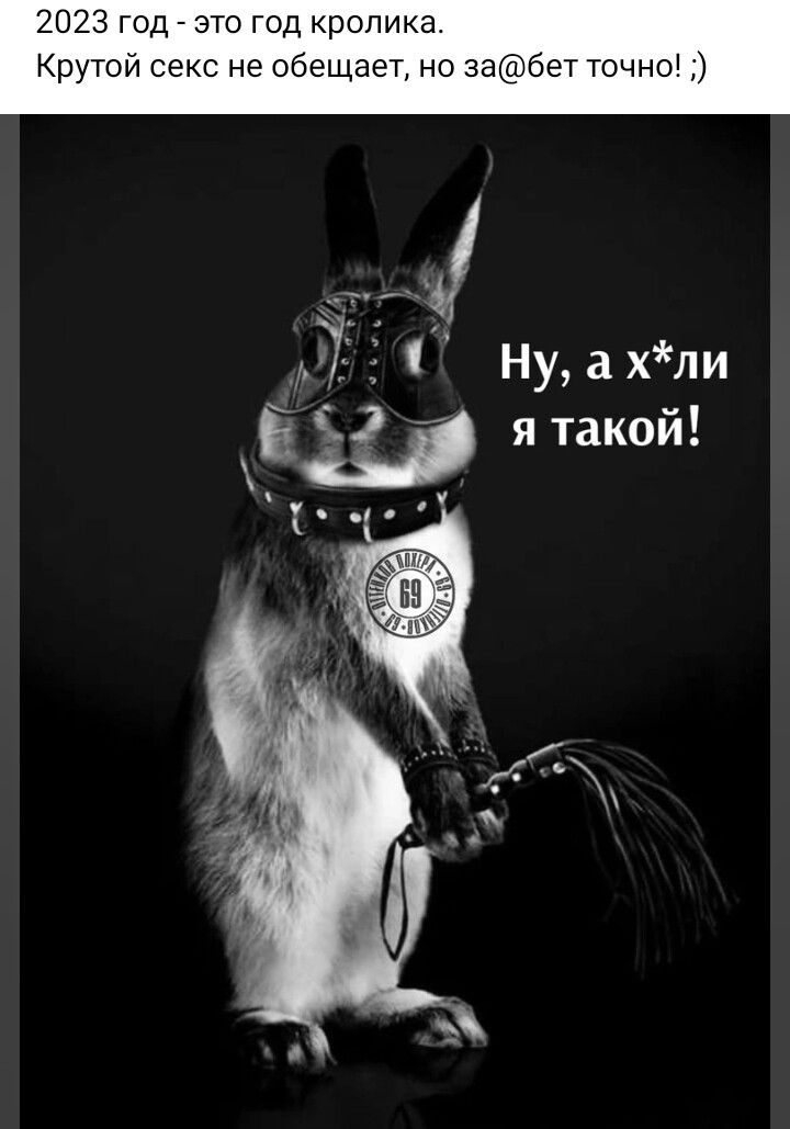 кролика