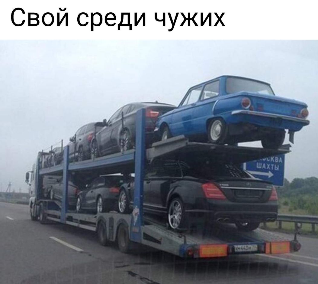 Свой среди чужих м