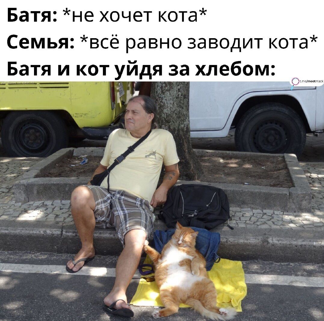 Батя не хочет кота Семья всё равно заводит кота Батя и кот уйдя за хлебом