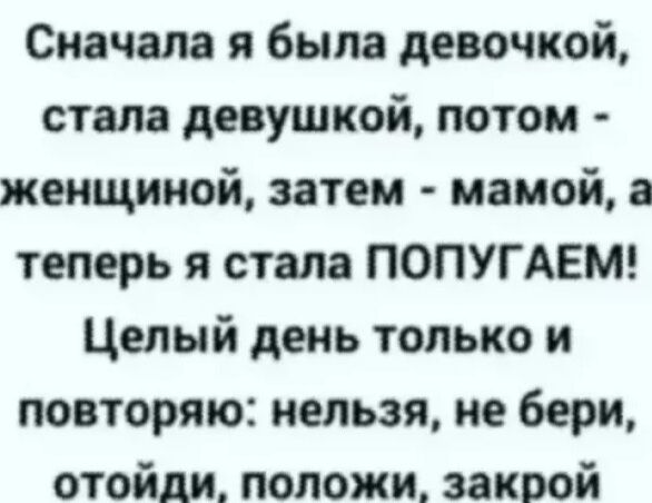 Сначала я была девочкой стала девушкой потом женщиной затем мамой а теперь я стала ПОПУГАЕМ Целый день только и повторяю нельзя не бери отойди положи закрой