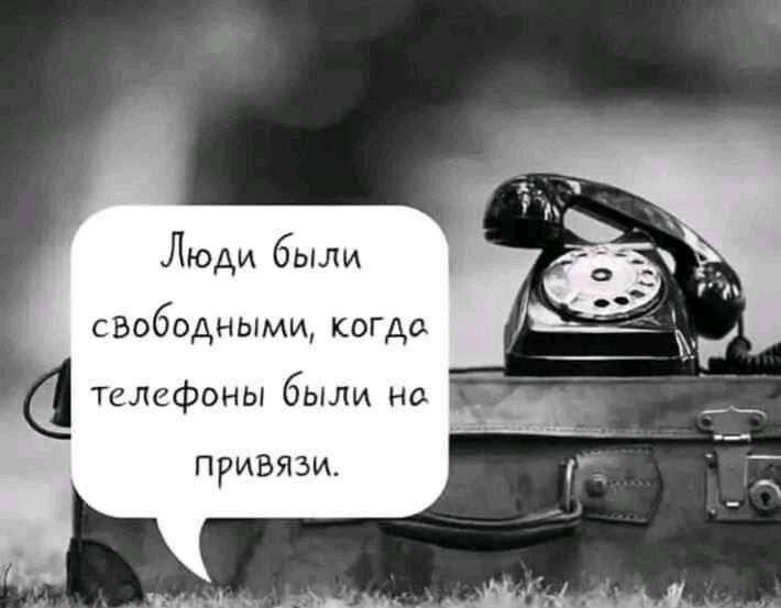 Люди были свободными когда тсмфоны бы но привязи