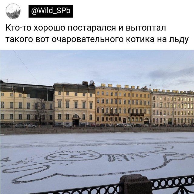 з КТОТО хорошо постарался И вытоптап ТЭКОГО ВОТ ОЧЭРОЕЭТЁПЬНОГО КОТИКВ на льду