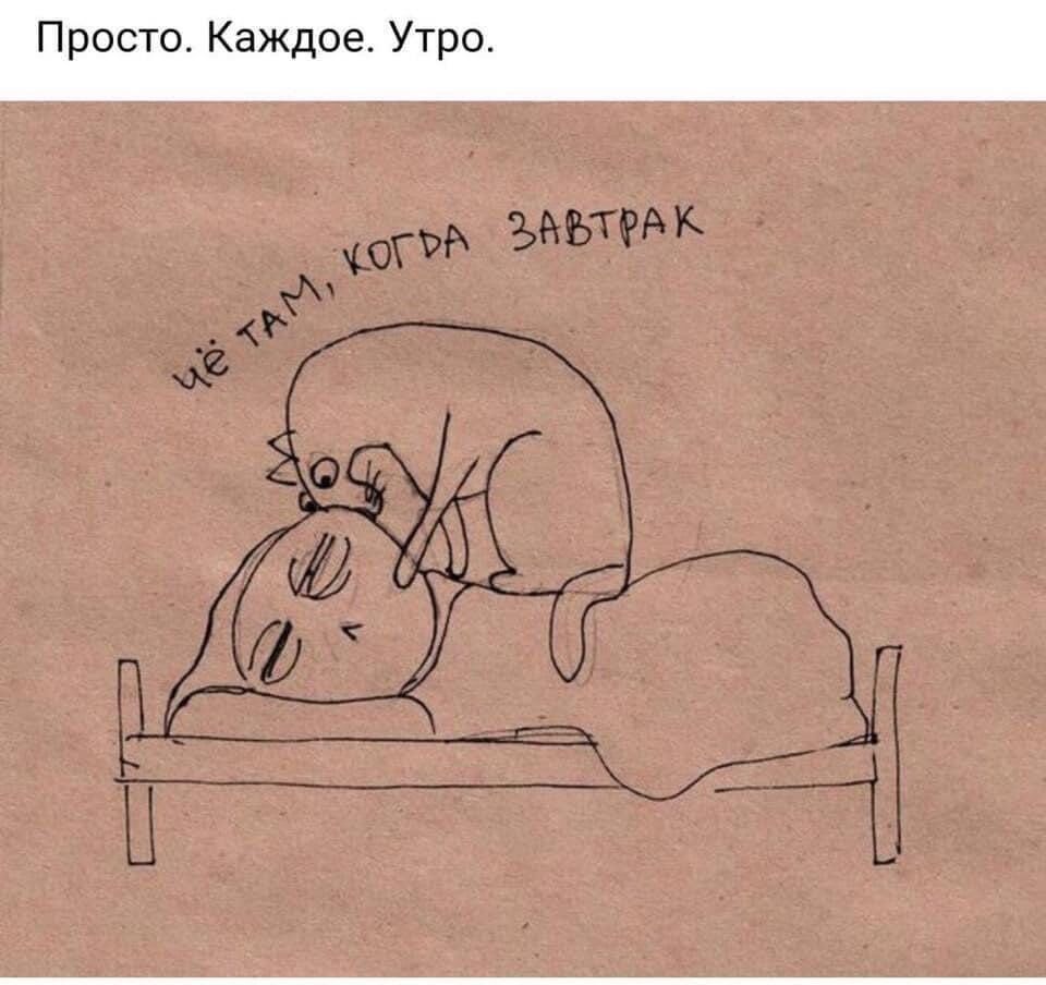 Прост Каждое Утро