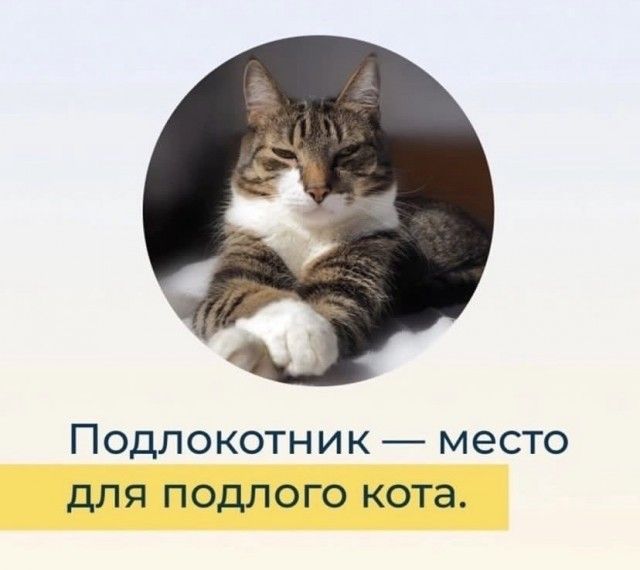 ПОДЛОКОТНИК место дЛЯ ПОДЛОГО кота